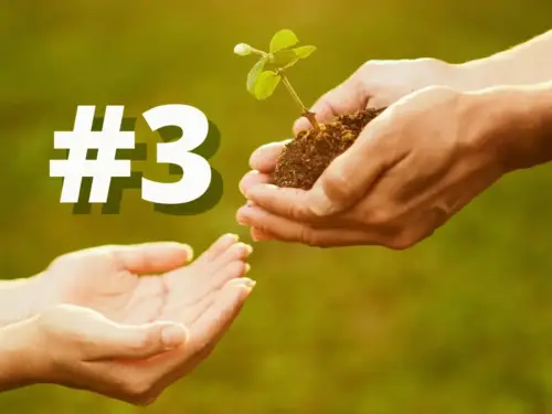 Newsletter, Issue 3, April 2025