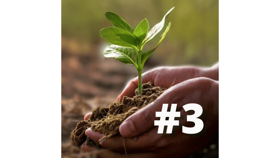 Newsletter, Issue 3, April 2025